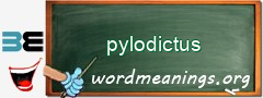 WordMeaning blackboard for pylodictus